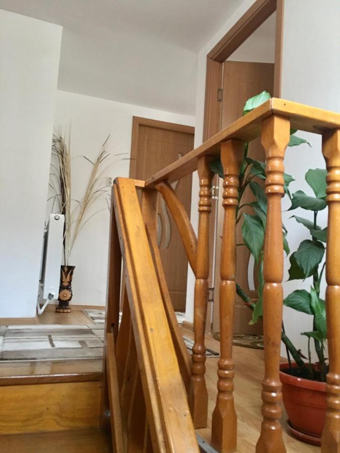 Cabana Baraj Apuseni Mountains Mihoesti Extérieur photo