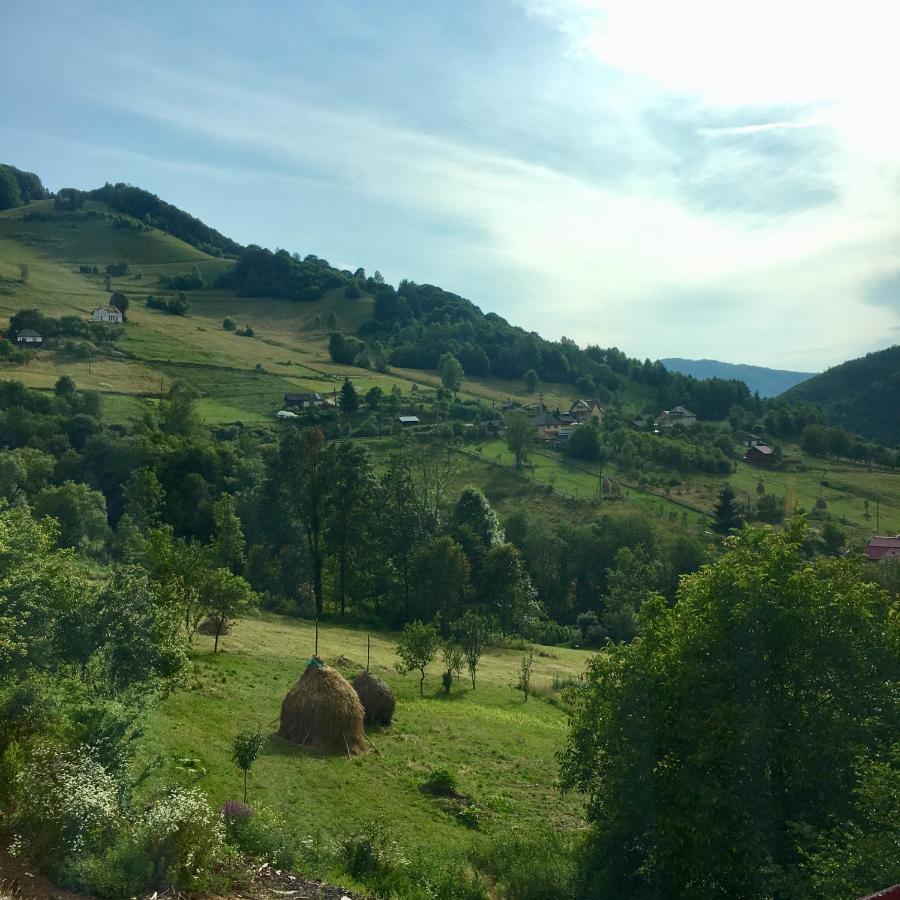 Cabana Baraj Apuseni Mountains Mihoesti Extérieur photo