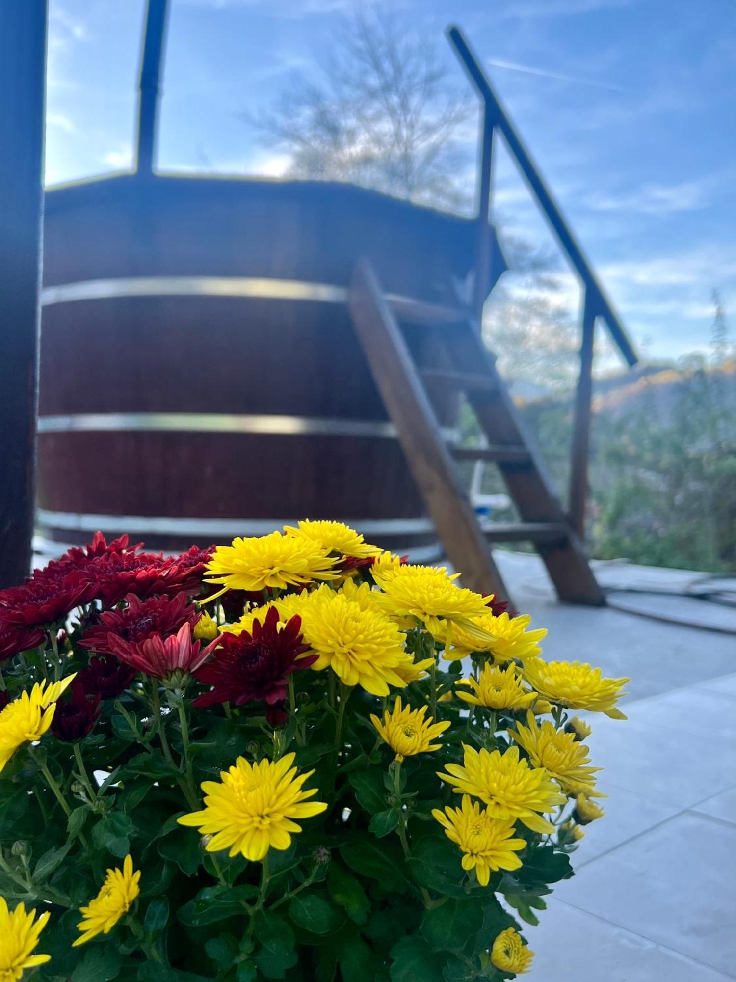 Cabana Baraj Apuseni Mountains Mihoesti Extérieur photo